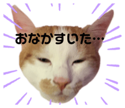 190855921
