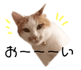 190855930