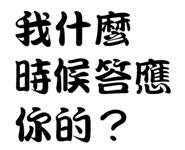 19087499