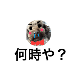 190885146