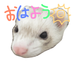 19088693