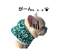 19090755