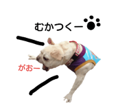 19090756