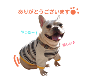 19090759