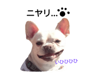 19090767