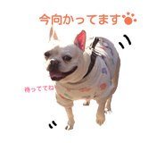 19090771