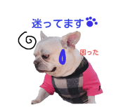 19090774