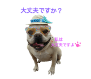 19090775