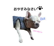 19090777
