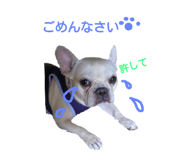 19090778