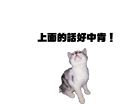 190943902