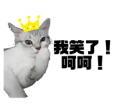 190943903