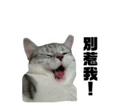 190943904