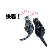 190943911