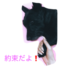 19095347