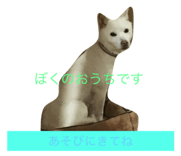 19104043