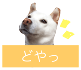 19104044