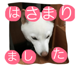 19104055
