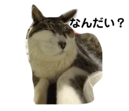 191046674