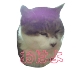 191046677