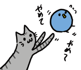 1911172