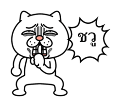 191164556