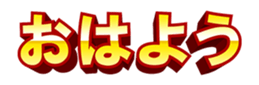 19121646