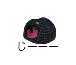 19125565