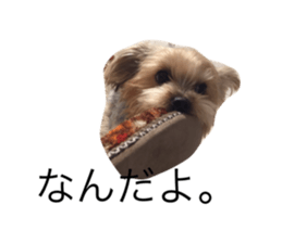 19125566