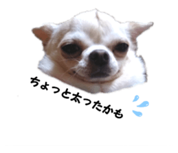 191258906