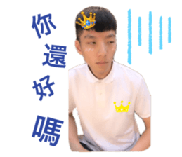 191575262