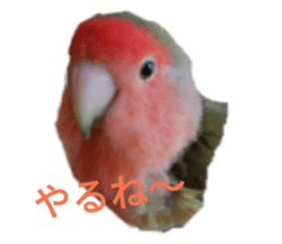 191585452