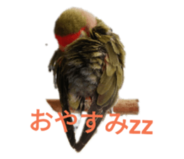 191585467