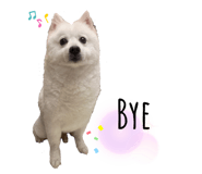 191595937