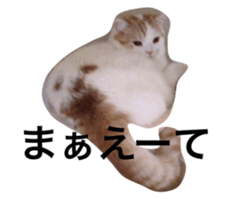 19162058