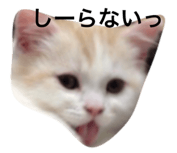 19162071