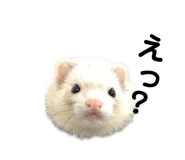 191753099
