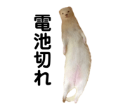 191753113