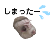 191753114