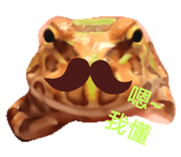 莓蛙飼育日記 Yabe Line貼圖代購 台灣no 1 最便宜高效率的代購網