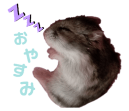 192016872