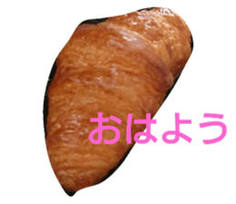 19206004