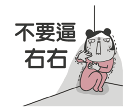 192081505