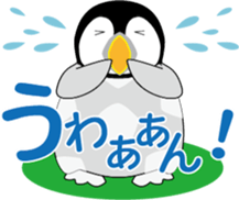 19217179