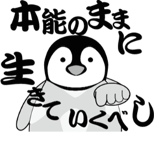 19217187