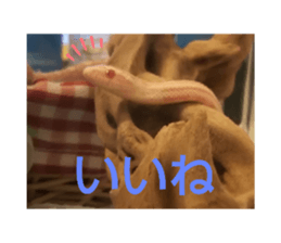 192219076