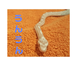 192219080
