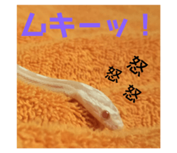 192219082