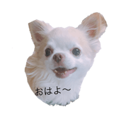192255342