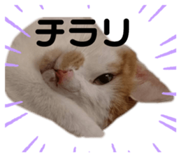 192279138